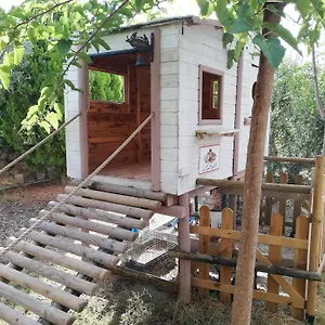 Alloggio per agriturismo Azienda Agrituristica Le Betulle, Riotorto